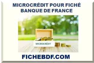 MICROCRÉDIT POUR FICHÉ BDF 2026